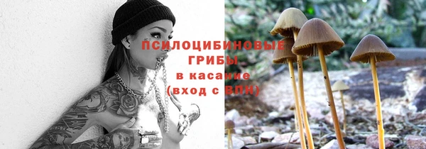 амф Киреевск